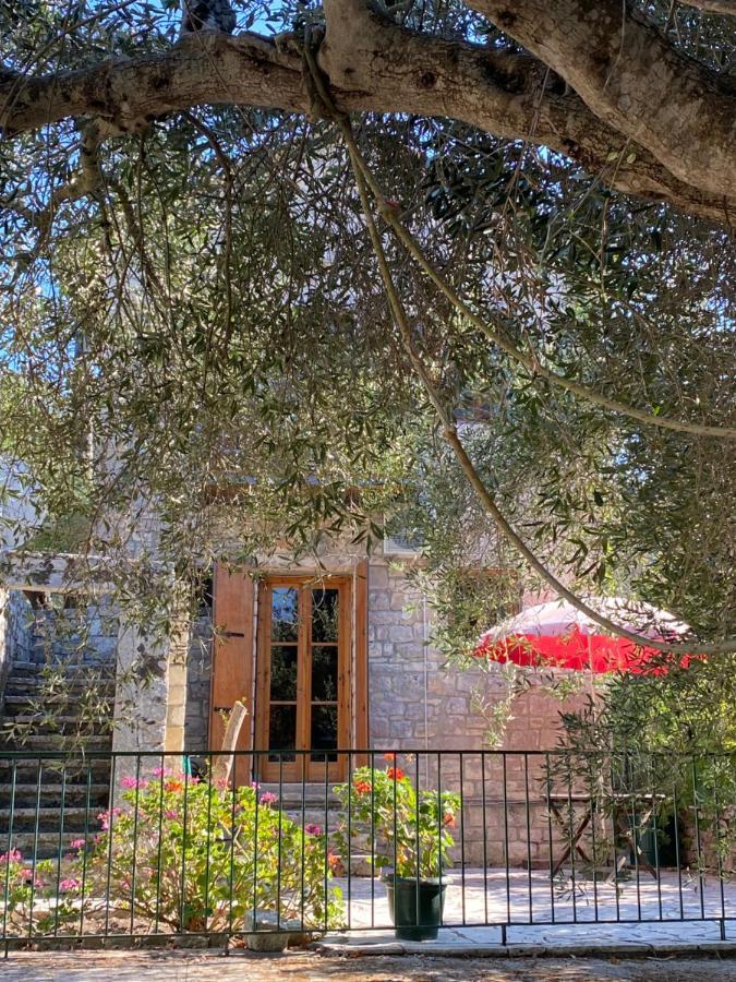 הוילה גאיוס The "M" House מראה חיצוני תמונה