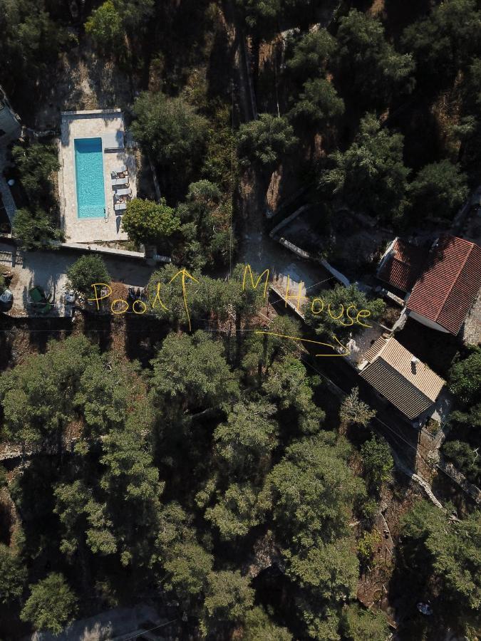 הוילה גאיוס The "M" House מראה חיצוני תמונה